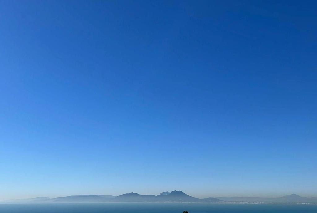 The Blue Sea View Sidi Bou Said