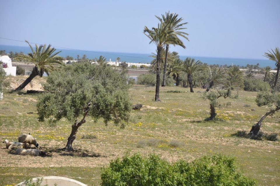 Ranch Tanit Djerba Ranch Tanit Djerba