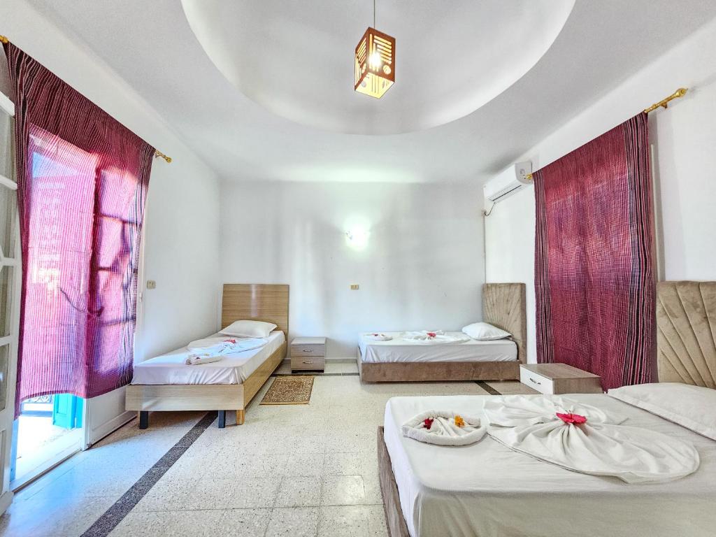 Villa Nesrine Villa Nesrine