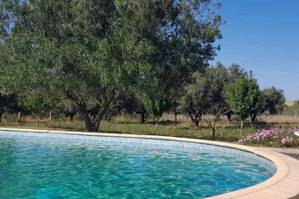 Essanya Chalet with a private pool - Country side of nabeul Essanya Chalet with a private pool - Country side of nabeul