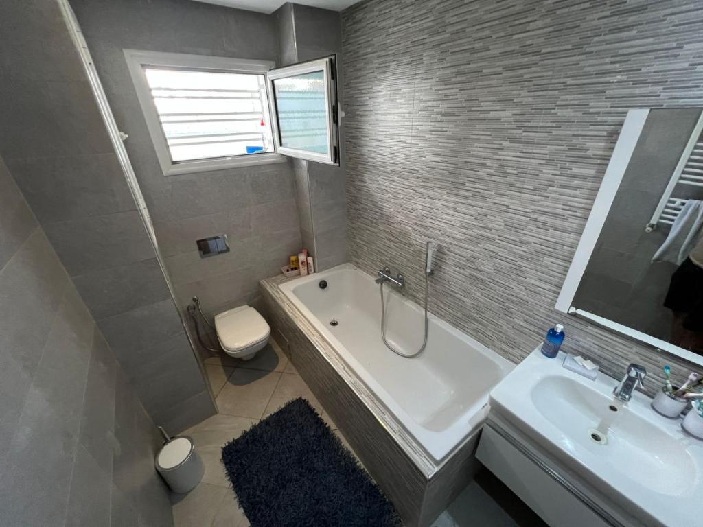 Luxury Apartment