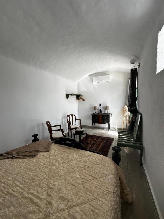 Riad chachia