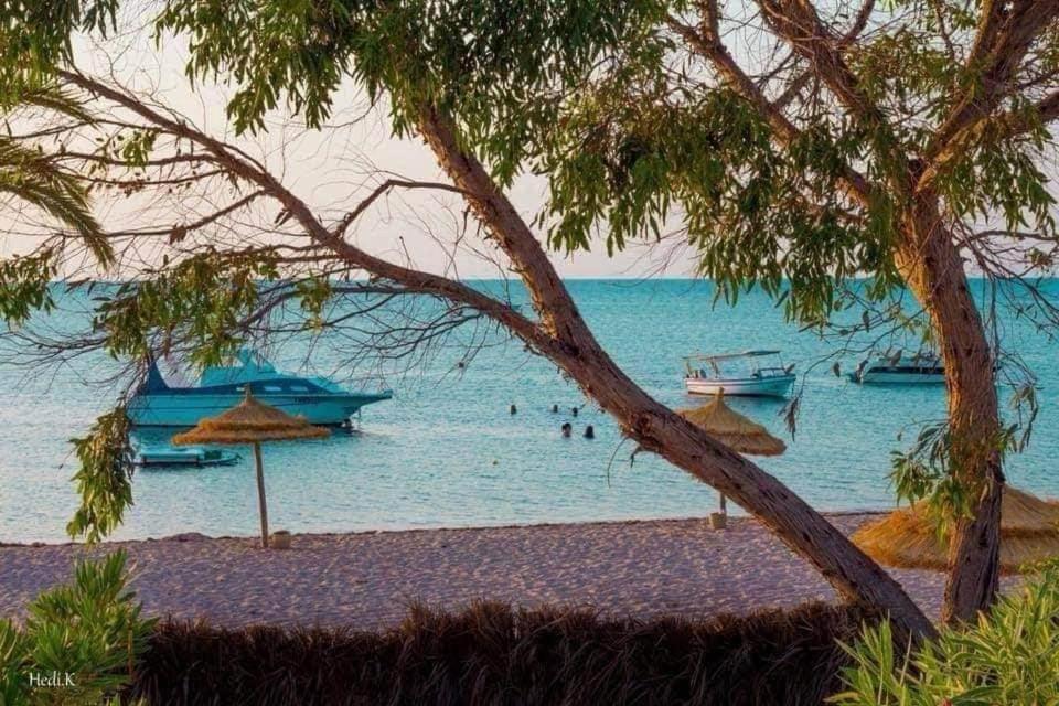 Villa familiale Avec piscine Dar Allouche S4