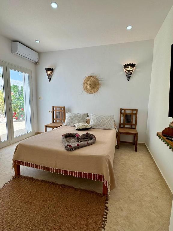 Villa Paco Djerba 2 suites et piscine privée Villa Paco Djerba 2 suites et piscine privée